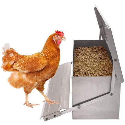 Automatic Chicken Feeder Galvanized Treadle Poultry Auto-Feeder Outdoor Garden
