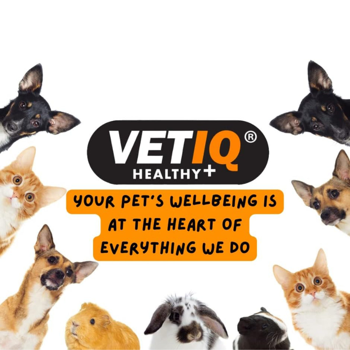 Vetiq Healthy Bites Hairball Remedy Cat Treats 4X 65G Helps Prevent & Remove UK