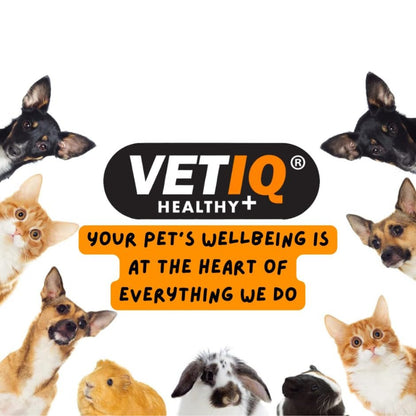 Vetiq Healthy Bites Hairball Remedy Cat Treats 4X 65G Helps Prevent & Remove UK