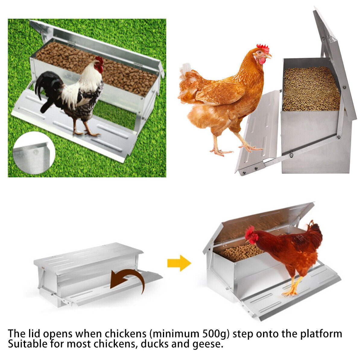 Automatic Chicken Feeder Galvanized Treadle Poultry Auto-Feeder Outdoor Garden