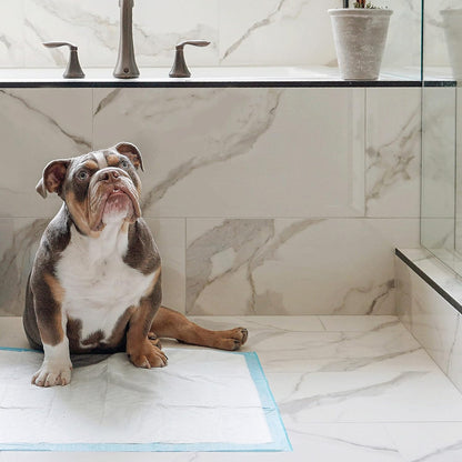 Wee Wee Pads, Pack of 14