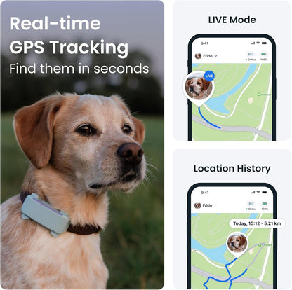 Smart Dog Tracker | 2025 Edition | Real-Time GPS Tracking | Escape & Health Alerts | Vitals Monitoring | Market Leader (Mint)